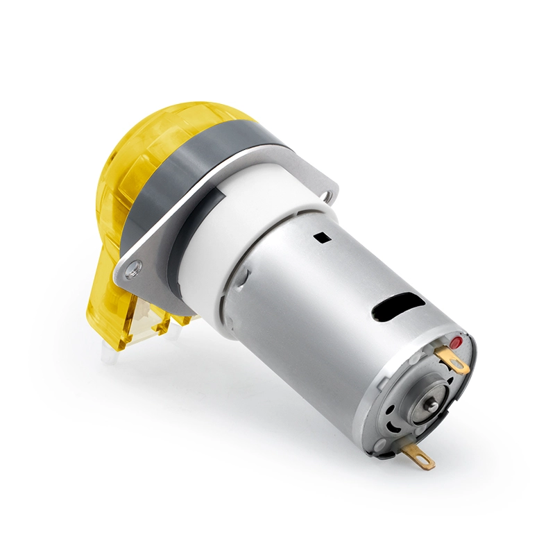 DC-Motor-Peristaltikpumpe LFP102/DB (Durchflussbereich: 9-110 ml/min)
