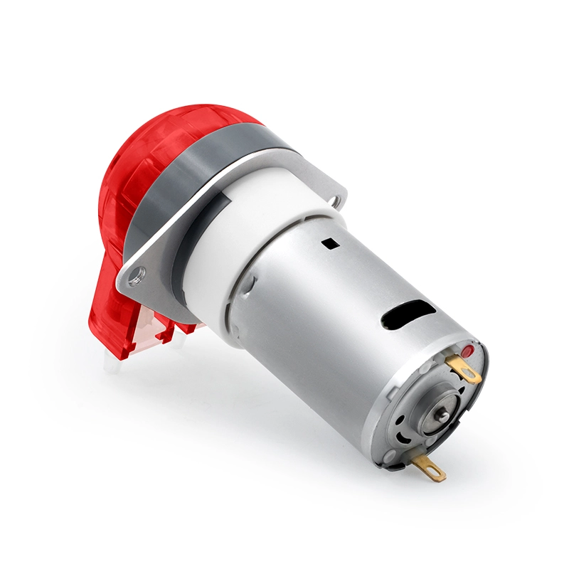 DC-Motor-Peristaltikpumpe LFP102/DB (Durchflussbereich: 9-110 ml/min)